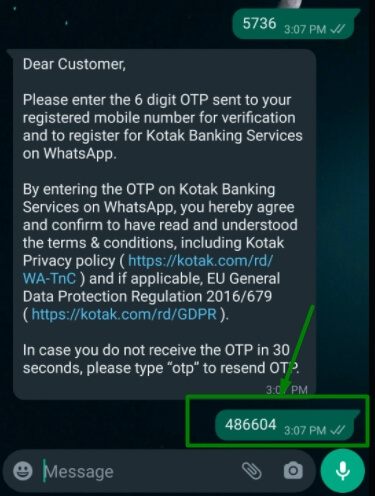 enter otp to view mini statement of kotak account in whatsapp