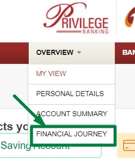 click on financial journey option in overview menu